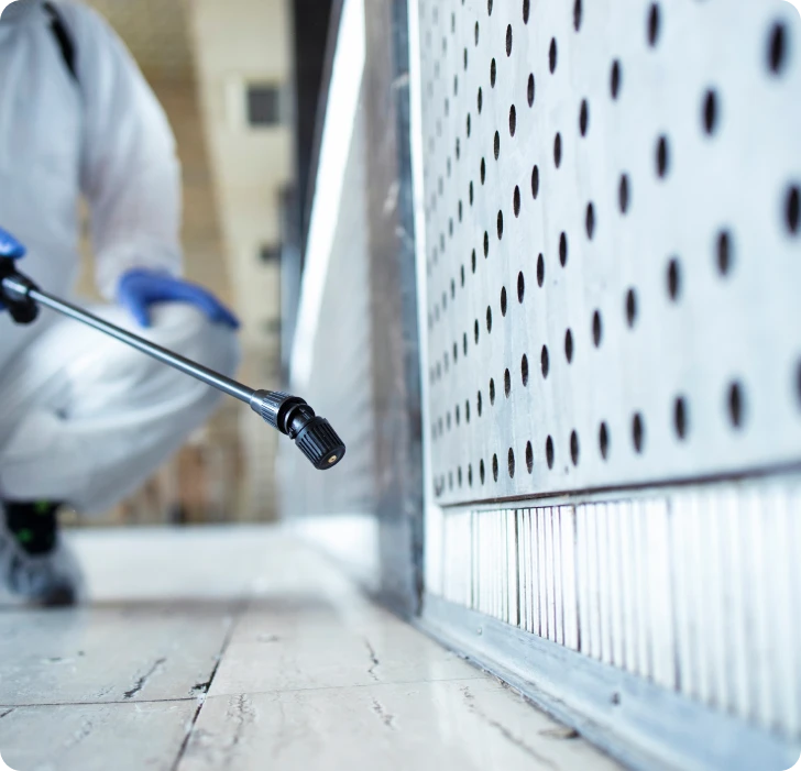 Servicio profesional de control de plagas en Cartagena